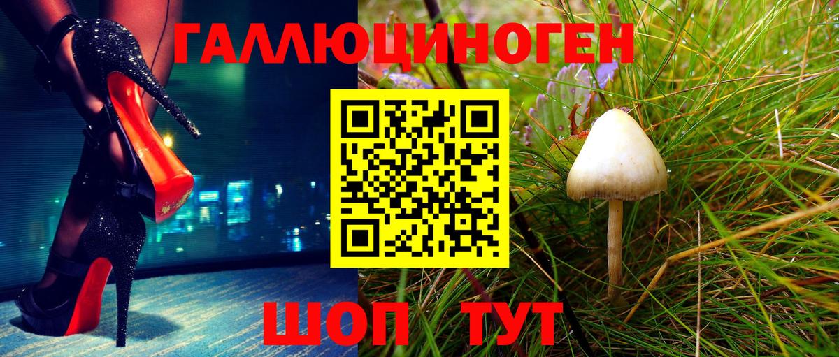 купить закладку  Псилоцибиновые грибы Psilocybe  Северобайкальск  Вход с VPN  Галлюциногенные грибы Psilocybine cubensis 